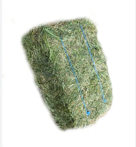 High Quality Non-GMO Alfafa Hay for Animal Feeding Alfalfa /Rodent Hay for sale