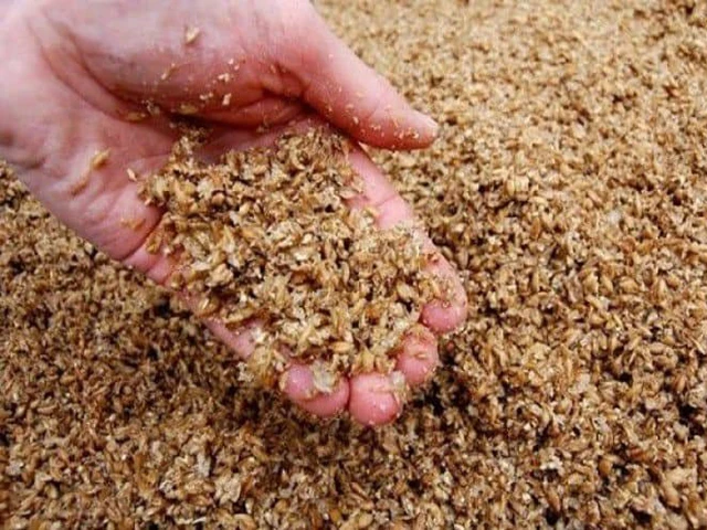 BEER RESIDUE Brewer Grain Brewer Yeast Powder For For Animal Feed High Quality Made From Vietnam Wholesale