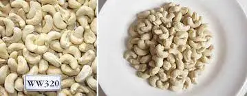 KING COFFEE - Best Vietnam Cashew Nut Kernels WW320 - 100% Raw Cashew Nuts Good Packaging High Dried Grade Price Newest Crop