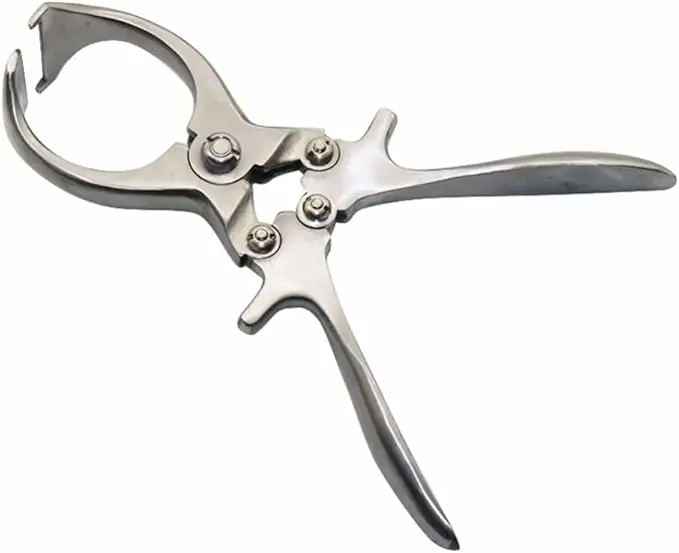 Castration Pliers, Livestock Tools, Stainless Steel Pig Sheep Castration Clamp Castration Tool Castration Forceps
