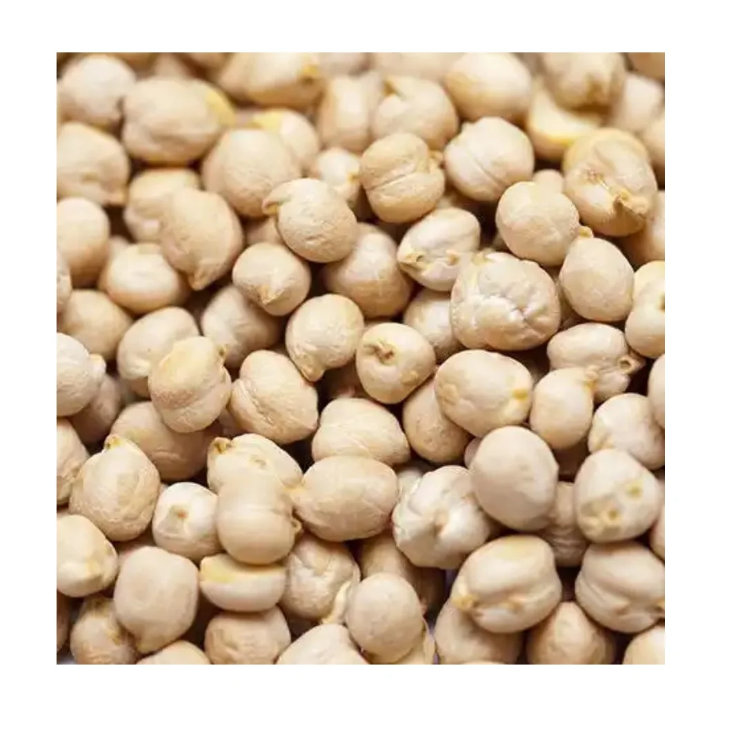 Whole 9mm Non-GMO Chickpeas, Direct from Origin Wholesale Chickpea Beans