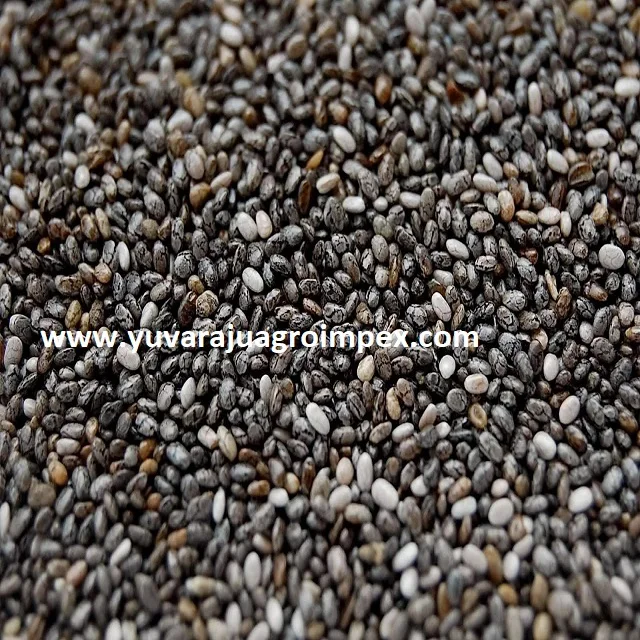 Rich quality Indian Chia seeds with crystal Clear Grading Method at exclusive marketing rates from exporters in India