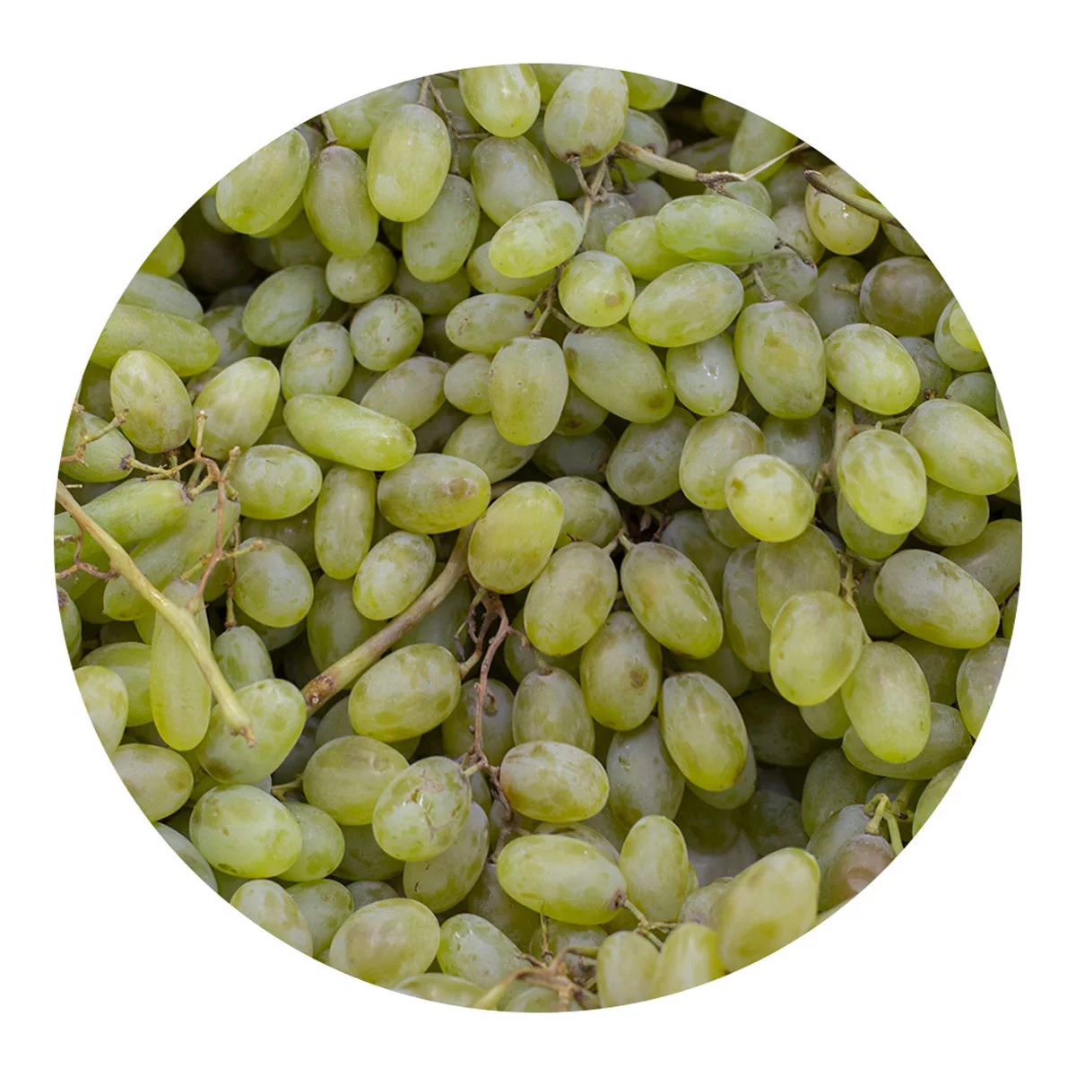 Natural grapes for sale own production wholesale low price (11000007712863)