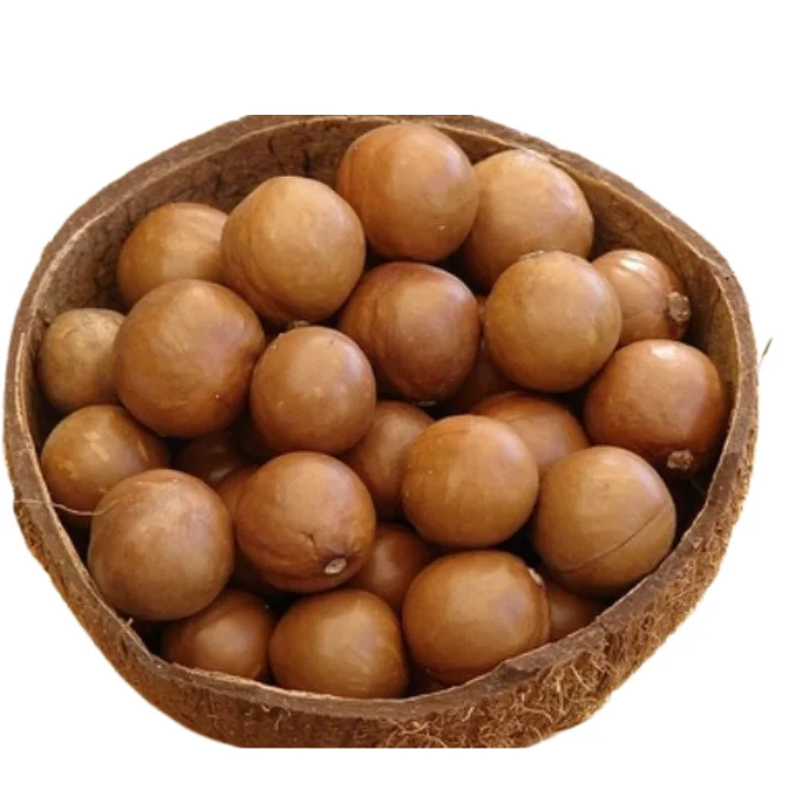 Органические орехи макадамии в скорлупе из Вьетнама: Идеально подходит для оптовиков