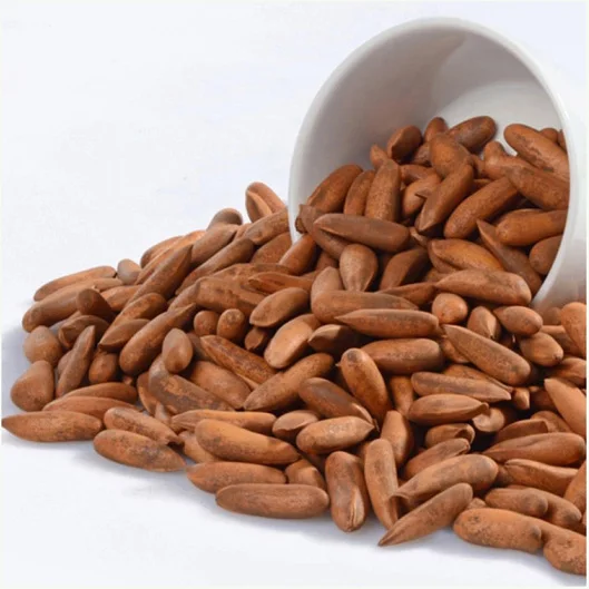 new crop 100%Pure natural wild Top Quality  edible nuts Top Quality Blanched Pine Nuts Cheap Pine Nuts Prices