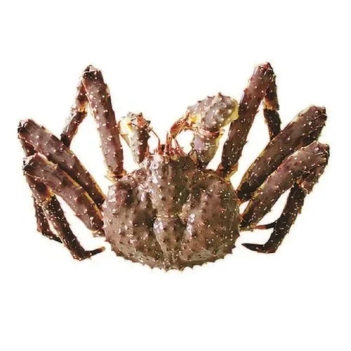 Top Quality FRESH SEAFOOD, Frozen King Crab For Sale, Live King Crabs at good discount Prices