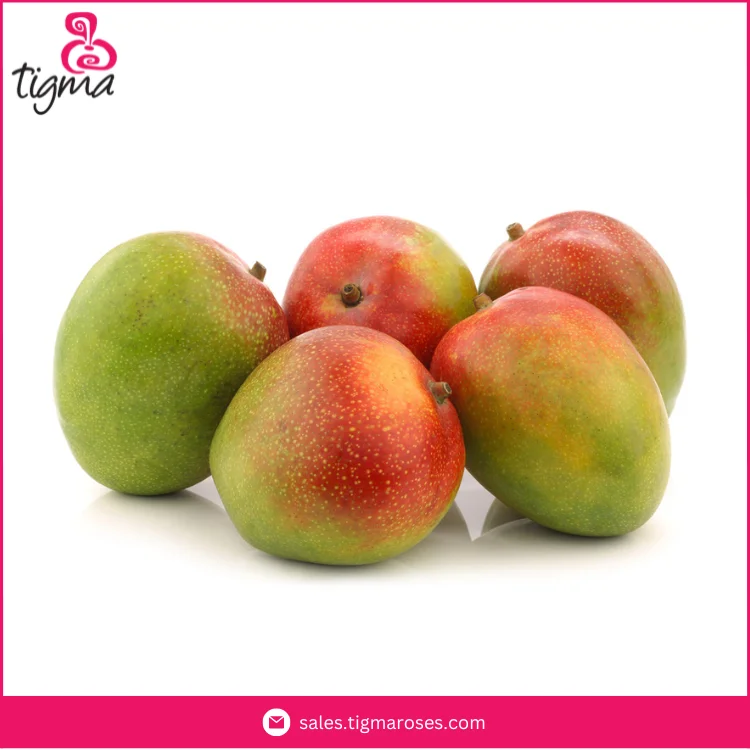 Ecuador Origin Dealer Selling Premium Quality Fresh Kent Mangoes for Wholesale Purchasers