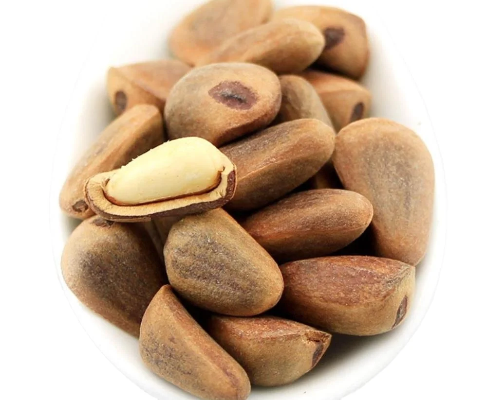 Dried Organic Brazil Nuts For Sale At Best Price