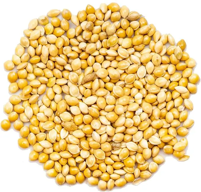 Best Flax Seeds Low Price Flax Seeds In Wholesale Organic flax seeds bulk/Best  White USA Sorghum / Bulk Red Sorghum For Sale