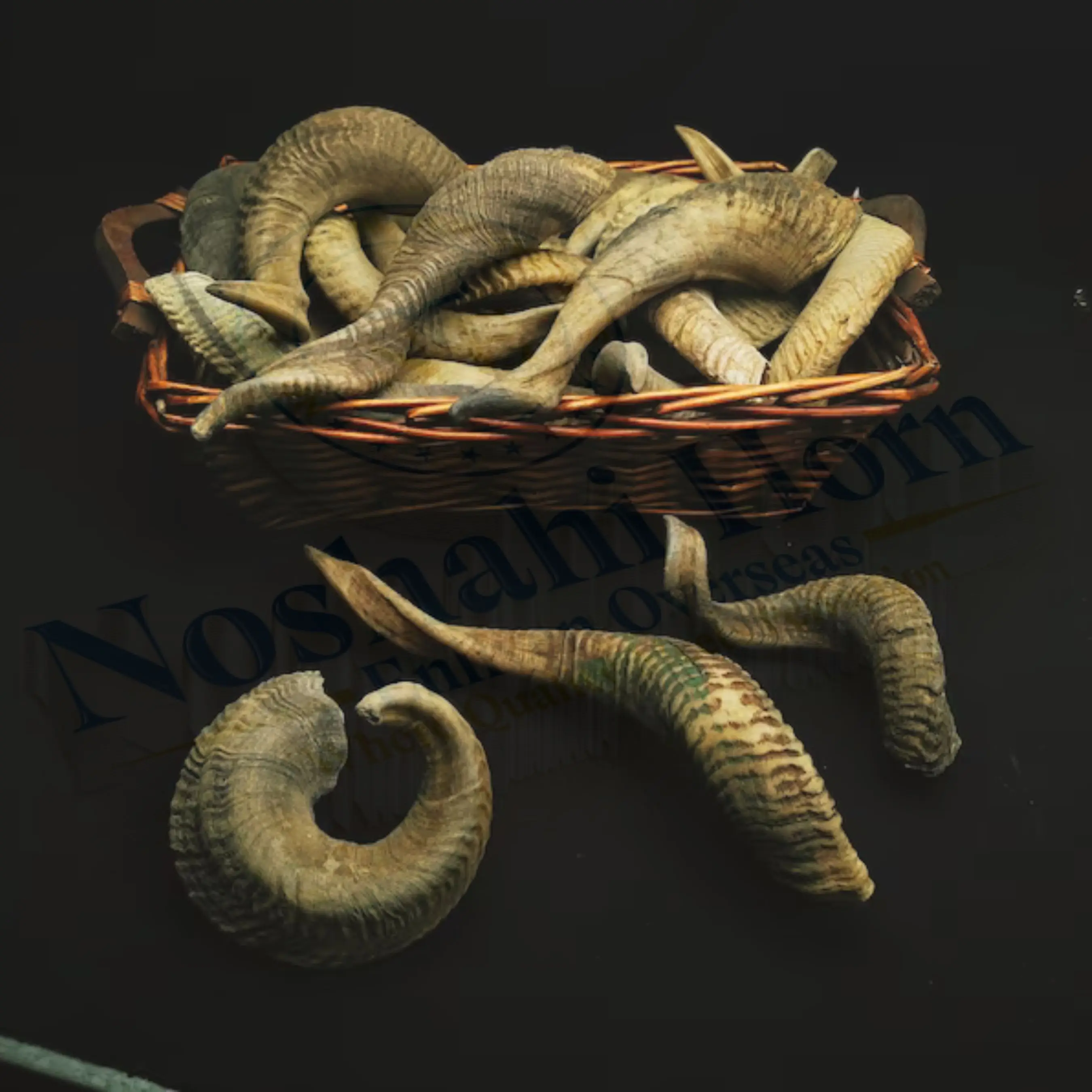 Premium Quality Hot-Selling Natural Black Sheep Ram Horn Durable Ideal for Dog Chews and Dental Health.