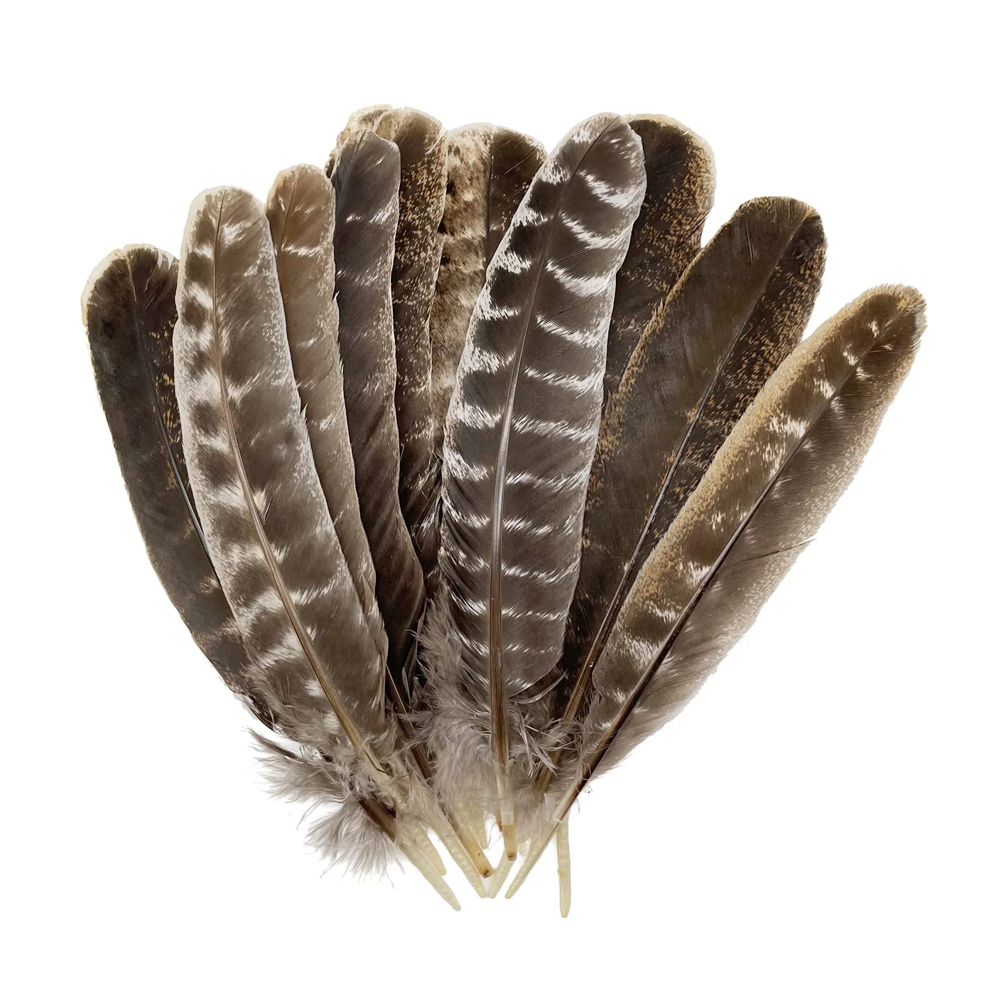 Factory outlet DIY craft colorful turkey marabou feathers for sale