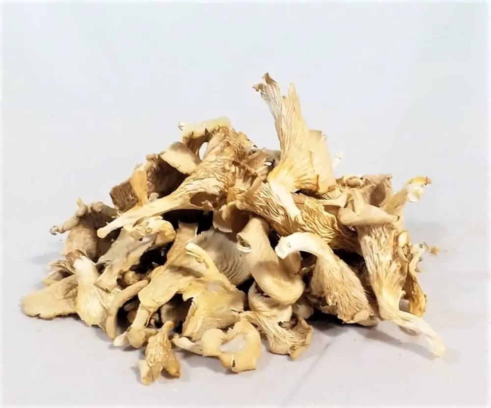 Dried Porcini (Boletus) Mushroom The Ultimate Flavor Booster for Your Meals A Culinary Treasure The Flavorful Way to Go Vegan