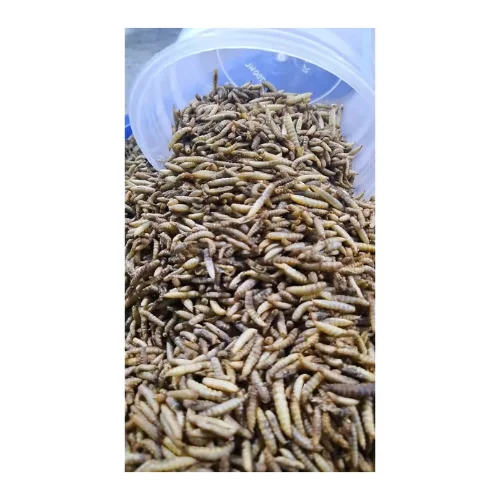 Dried Mealworms Are Naturally High in Protein, Vitamins and High Grade Edible Oils Made in Viet Nam