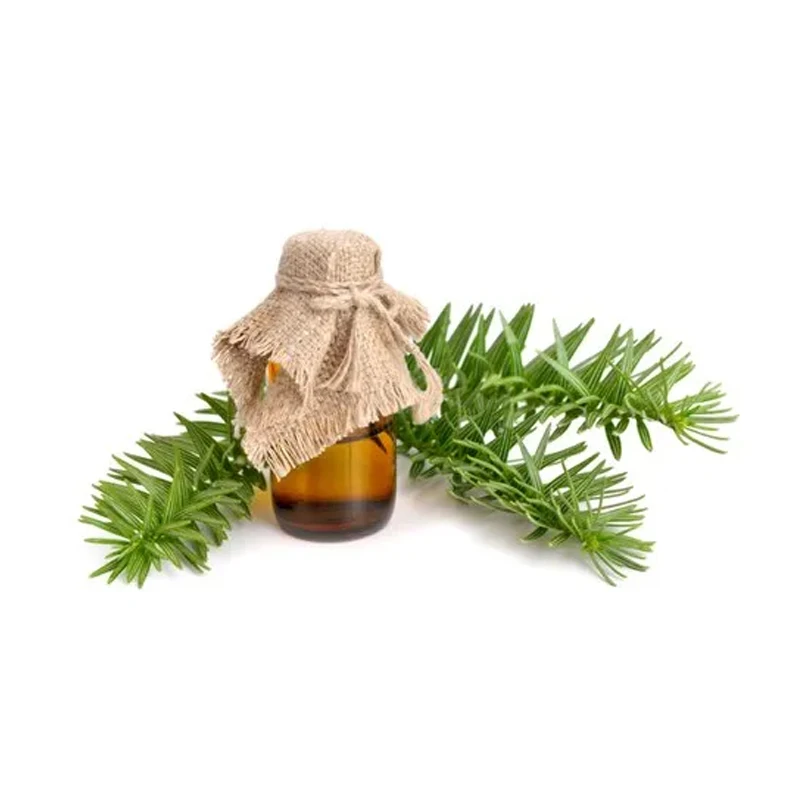 100% Natural and Pure Fir Needle Essential Oil at Genuine Market Rates OEM/ODM Supply Available in Bulk 100 KG