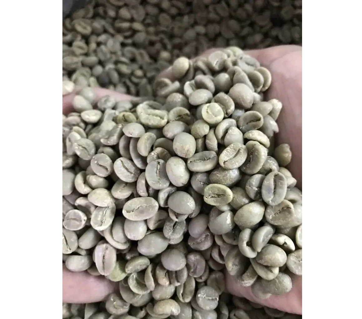 Vietnamese green coffee beans Arabica/ Robusta coffee beans ready to export around the world for wholesale whole beans coffee