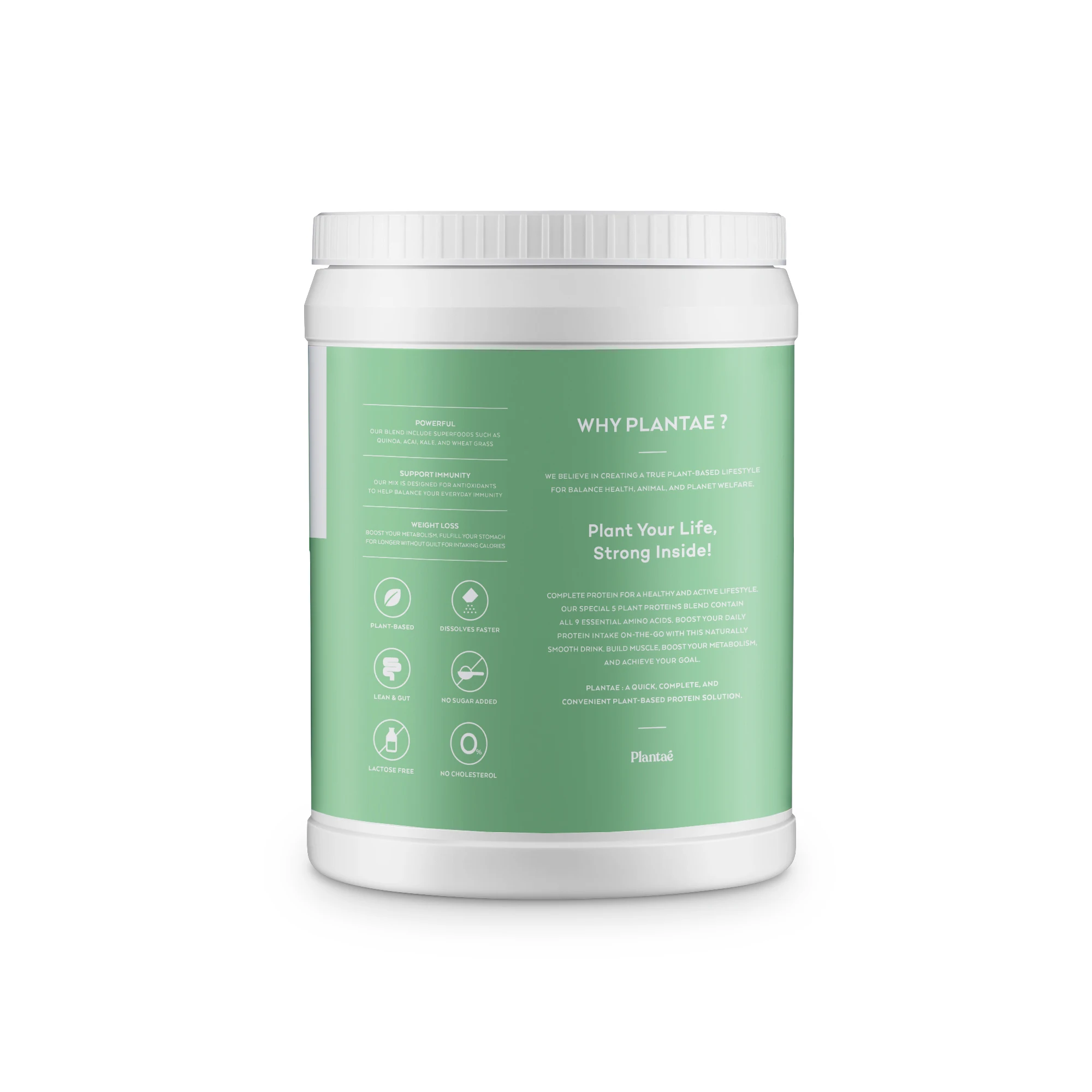 New Updated! High Quality Complete Plant Green Smoothie from Thailand Protein + Superfood & Greens Powder Providing Energy TH;24
