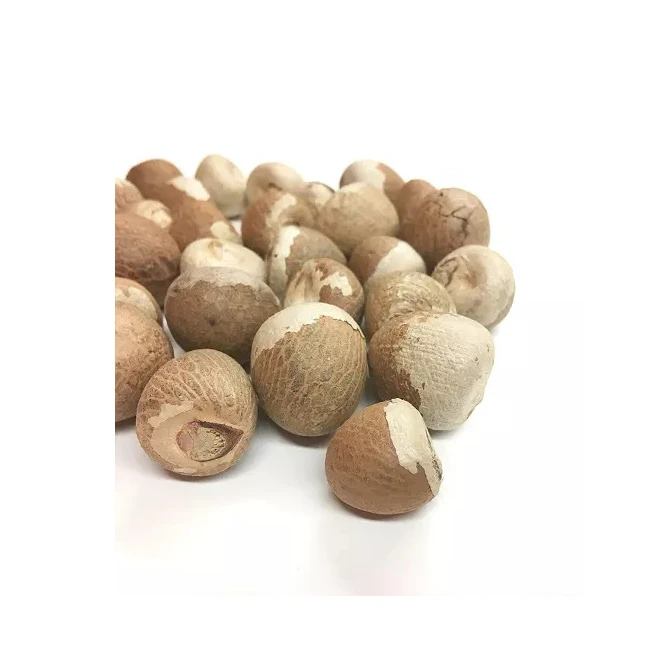 Премиум-качество 1st класс сырые сушеные орех катеху