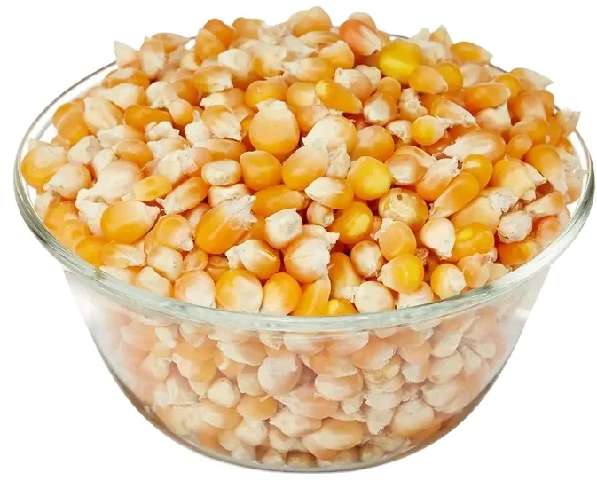 Buy Drier Corn Non GMO Yellow Maize Corn from Thailand