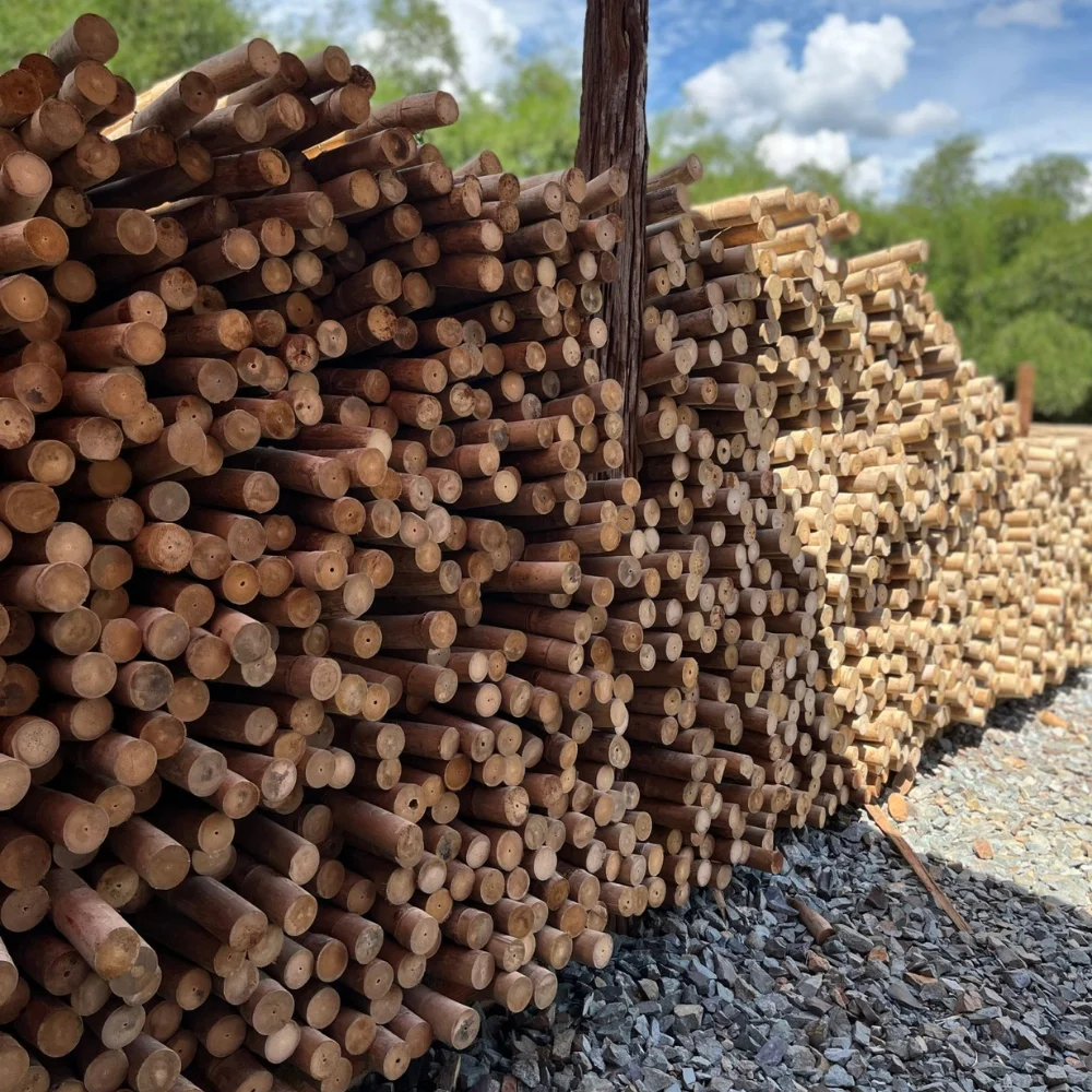 Dry Bamboo Poles Big Size Solid Moso Bamboo For Decor And Construction Bamboo Cane Packed In Bundles with Top Service