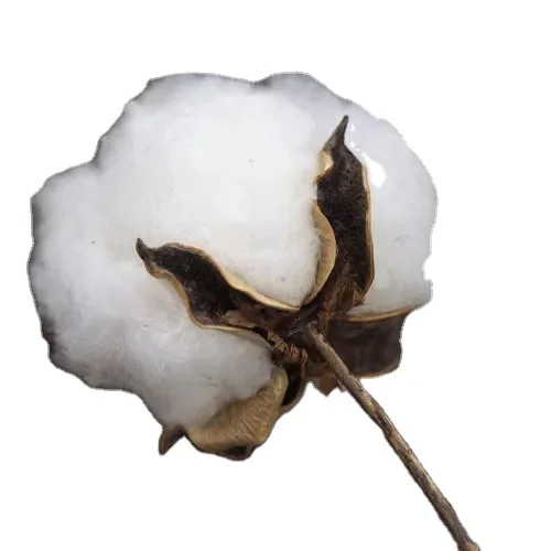 Comber Cotton Noil 100% Organic Raw Cotton Wholesale China 100% Natural Eco-friendly Round Raw Cotton Rope