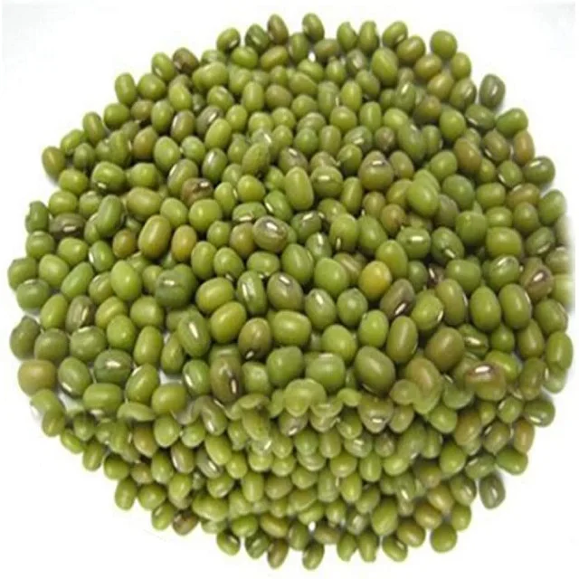 Quality Green Mung Beans With Certificate Market Price From Manufacturer For Sale