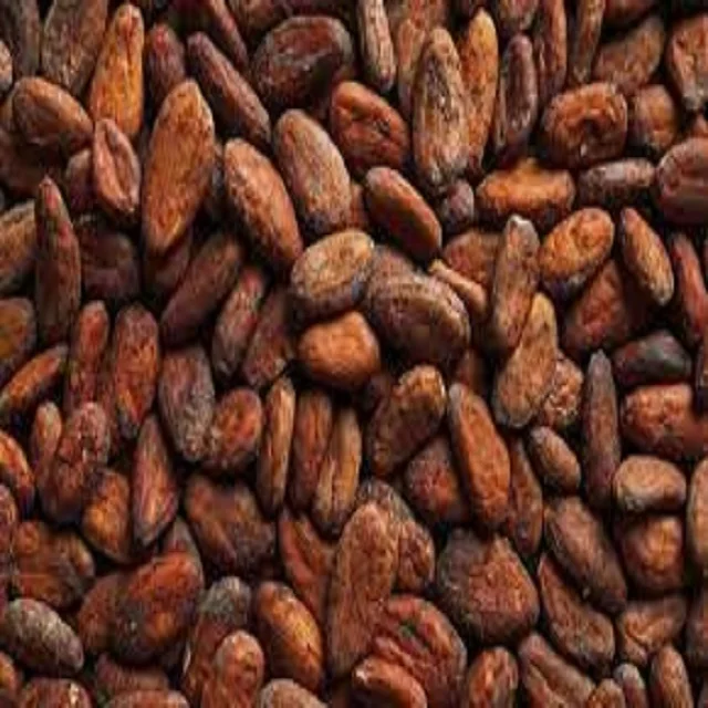 Buy High Quality Brazil Cocoa Beans Fresh Cacao Beans and Fine Cocoa Powder Best Price Guaranteed