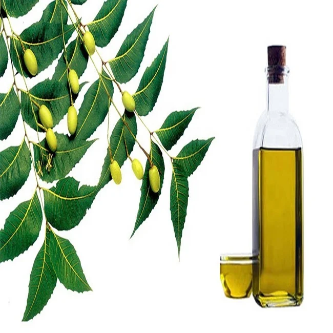 Organic Naturally Neem Seed Oil used for white flies and insecticides in Plants extracted by cold pressed method