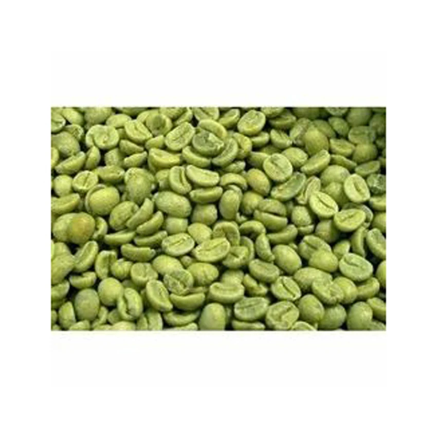 Wholesale Brazilian High Quality Green Beans Coffee With Best Price For Import Good Quality Raw Coffee Beans