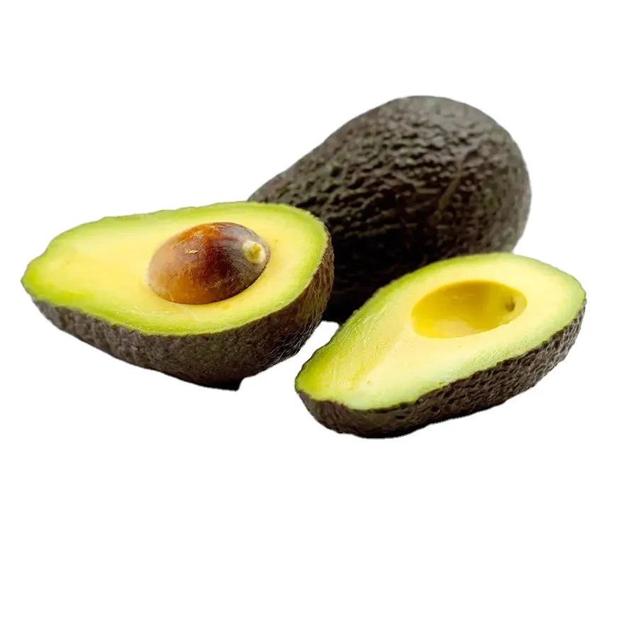 Лучшая цена свежего авокадо оптом для продажи