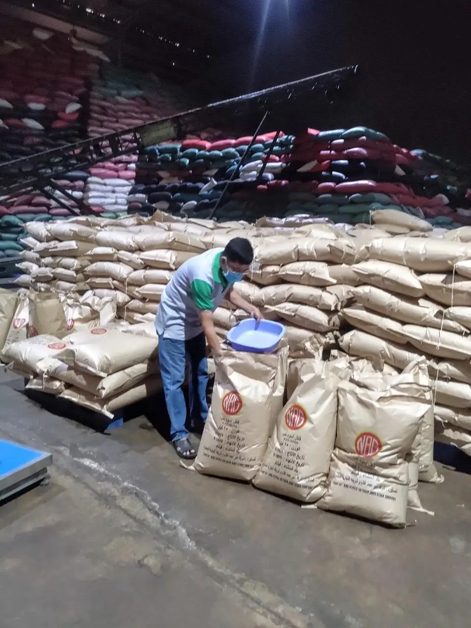 2024 New Crop Black Pepper 500 GL FAQ Best Price Dried Herb in Powder Form Raw Chili Spice from Vietnam with AD Drying Process