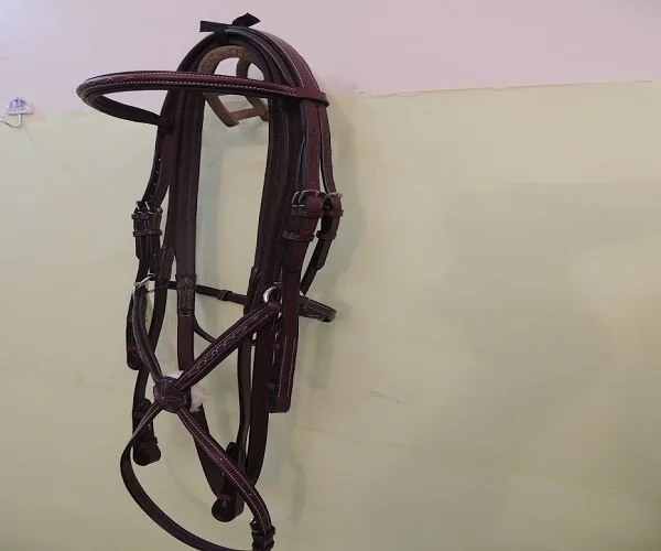 Fancy Horse leather Bridle collection of exclusive Decorative Anatomical Horse Reins technological advance Manufacturers Kanpur