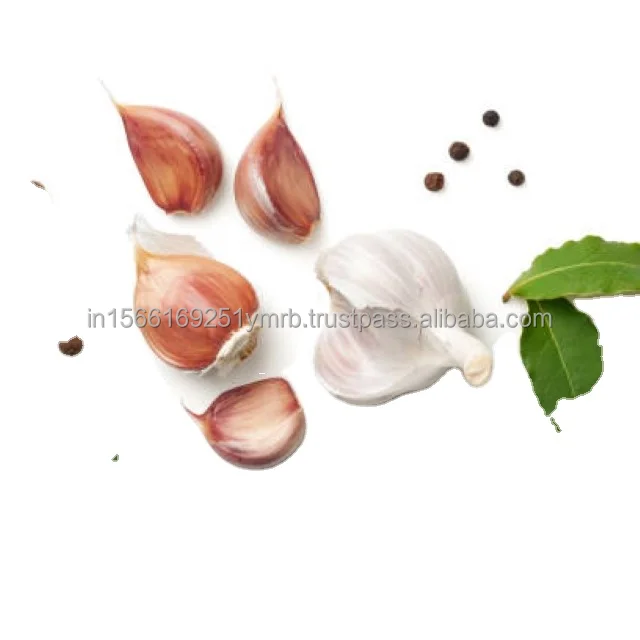 Organic fresh pure white garlic for food and beverage spices and herbs size 20 Kgs natural product export