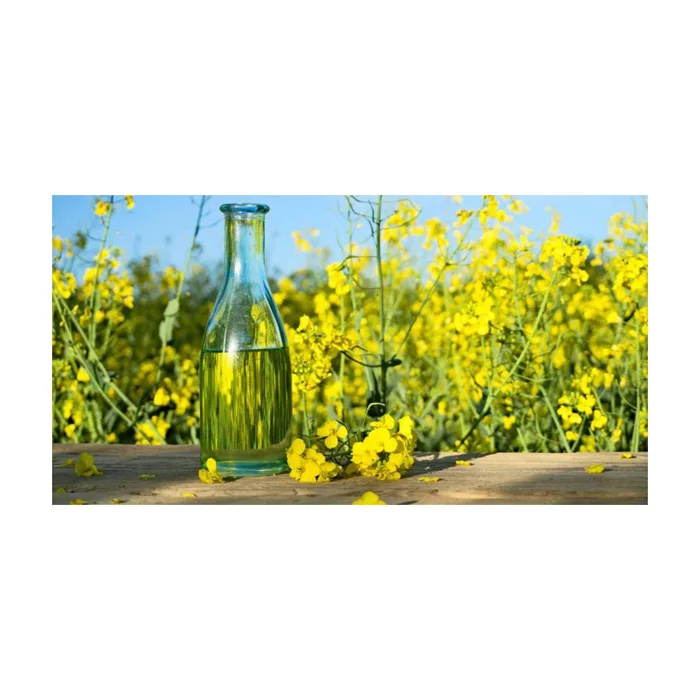 Rapeseed oil Certified Organic 100 % Pure Refined Rapeseed Oil / Canola Oil / Crude degummed rapeseed