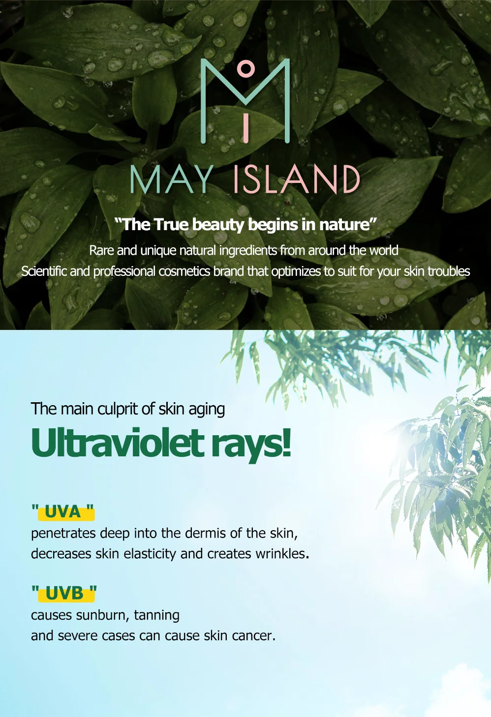 MAY ISLAND 7 Days Secret Centella Cica Sun Cream SPF50+ PA+++ 30ml [Acne|Cica|UV Proteciton|Sun Block|Moisturizing|UVA|UVB]