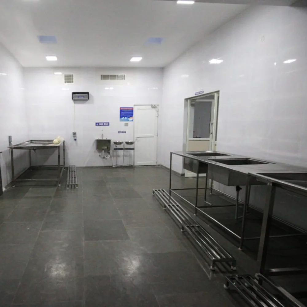 Untitled design (19).png