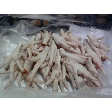 Frozen Premium Quality Chicken Feet Paws Supplier High Quality Chicken Feet Paws