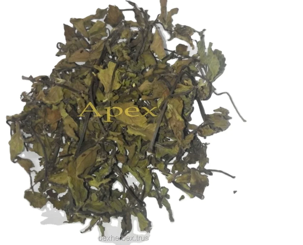 Java Tea leaves Orthosiphon Stemineus Organic