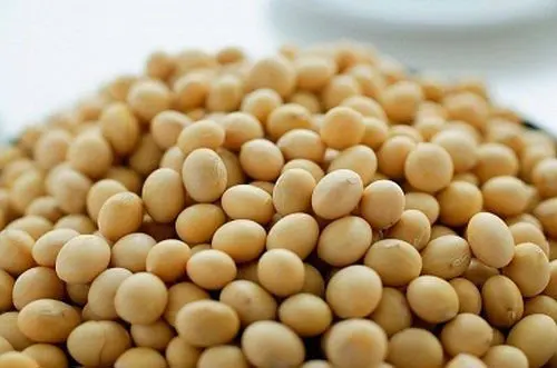 New Crop Top Grade Peeled IQF Frozen Soy Bean Kernels / Food Grade Yellow Soybeans