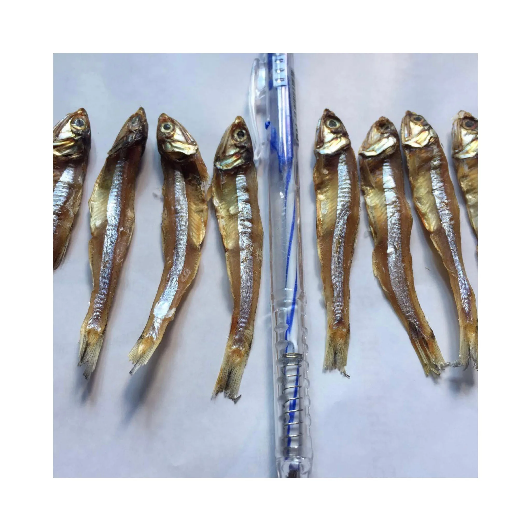 Cheap Seafood Dried Anchovy for Sale | Freshly Dried Anchovies Exporters From Vietnam Ms Elysia WA 0084789310321