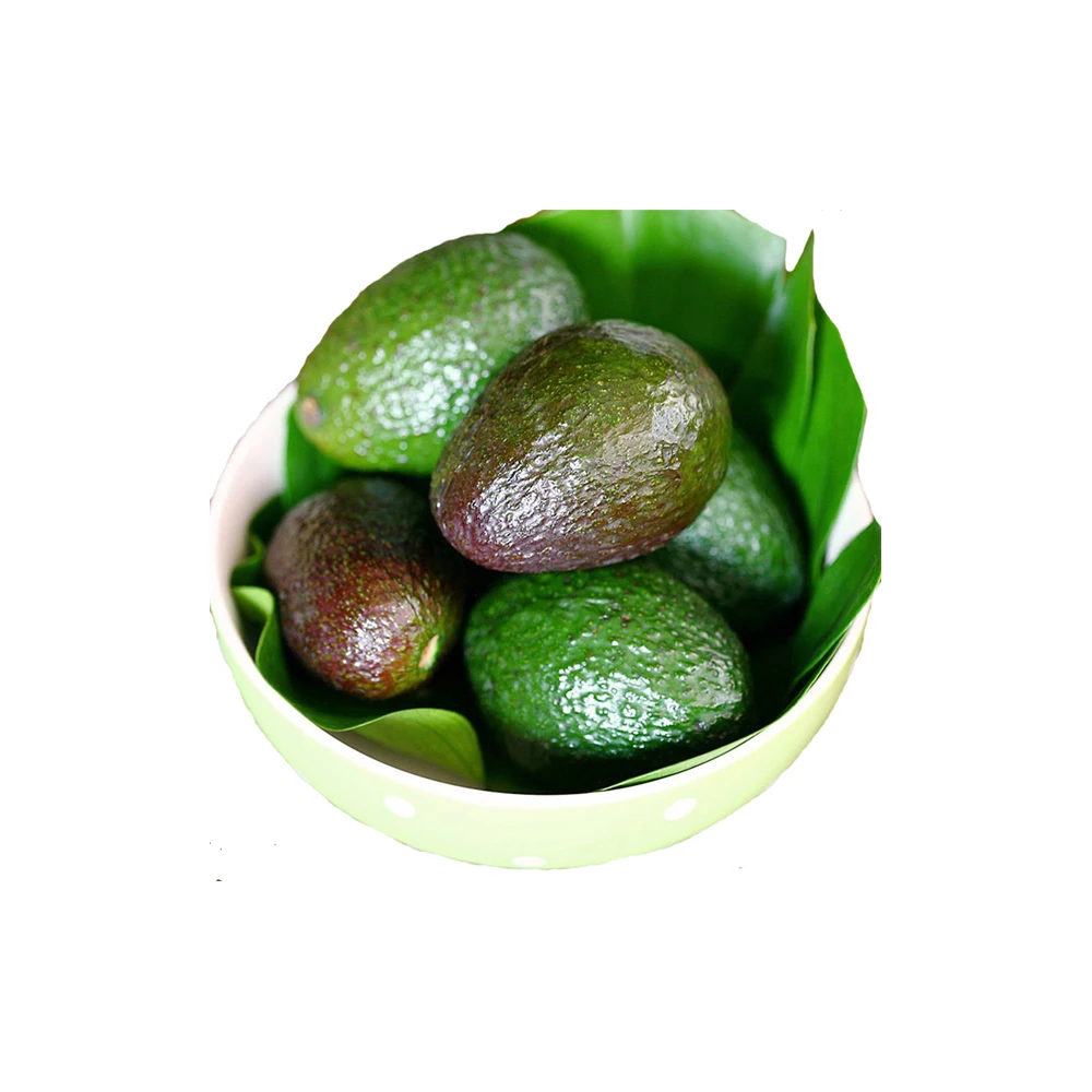 Preserved Grade Frozen Fresh Avocado Vegetable Fruit Food Avocado Fresh Grade Edible Avocado