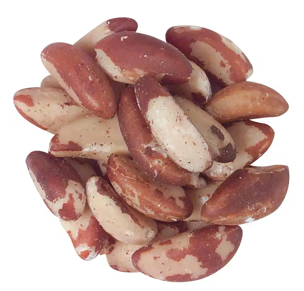 Quality Brazil Nuts Wholesale Brazil nuts snacks brazil  nuts 100% Pure Natural