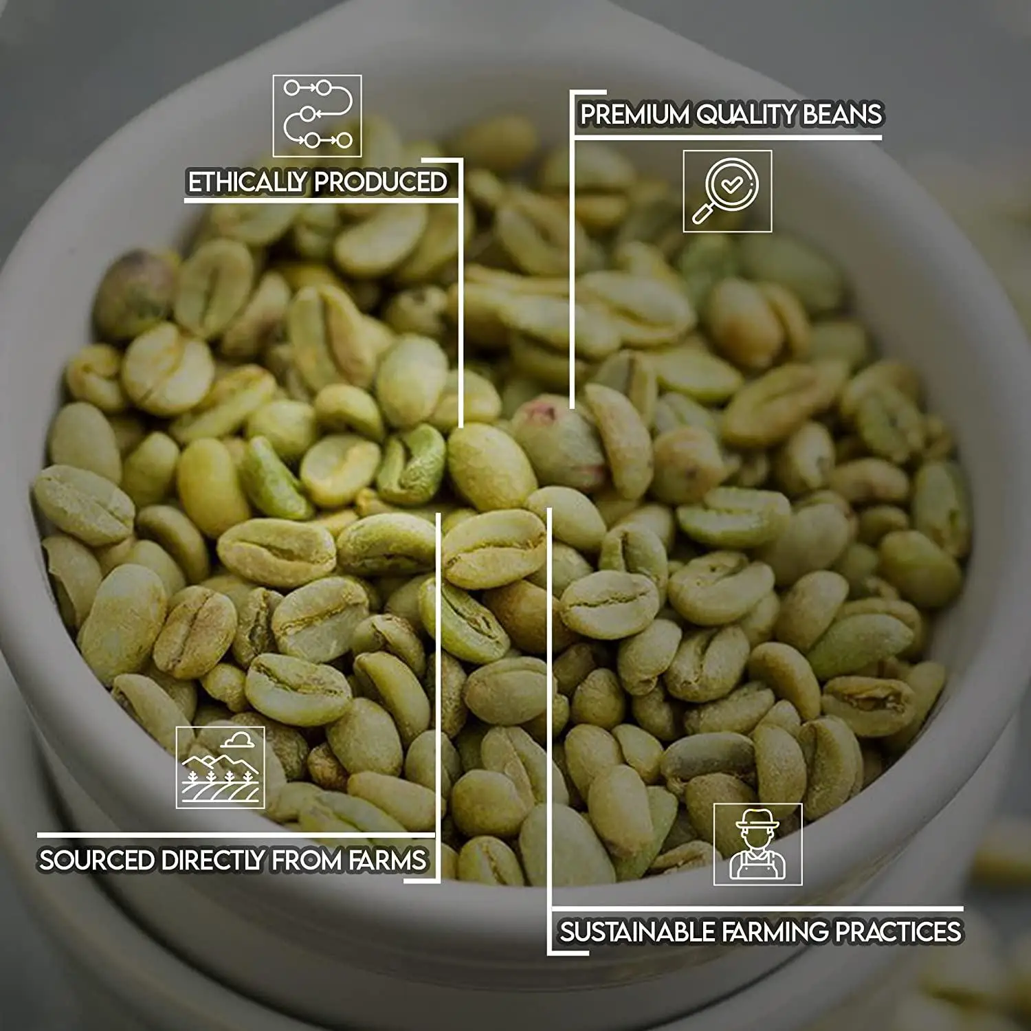 The best coffee beans in the world Arabica Type Viet Nam green coffee beans robusta - weight loss drink