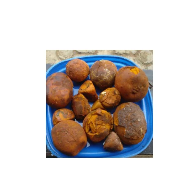 bulk buyer ox cow gallstones cattle buffalo cows product yellow original whole broken gallstone supplier for sale