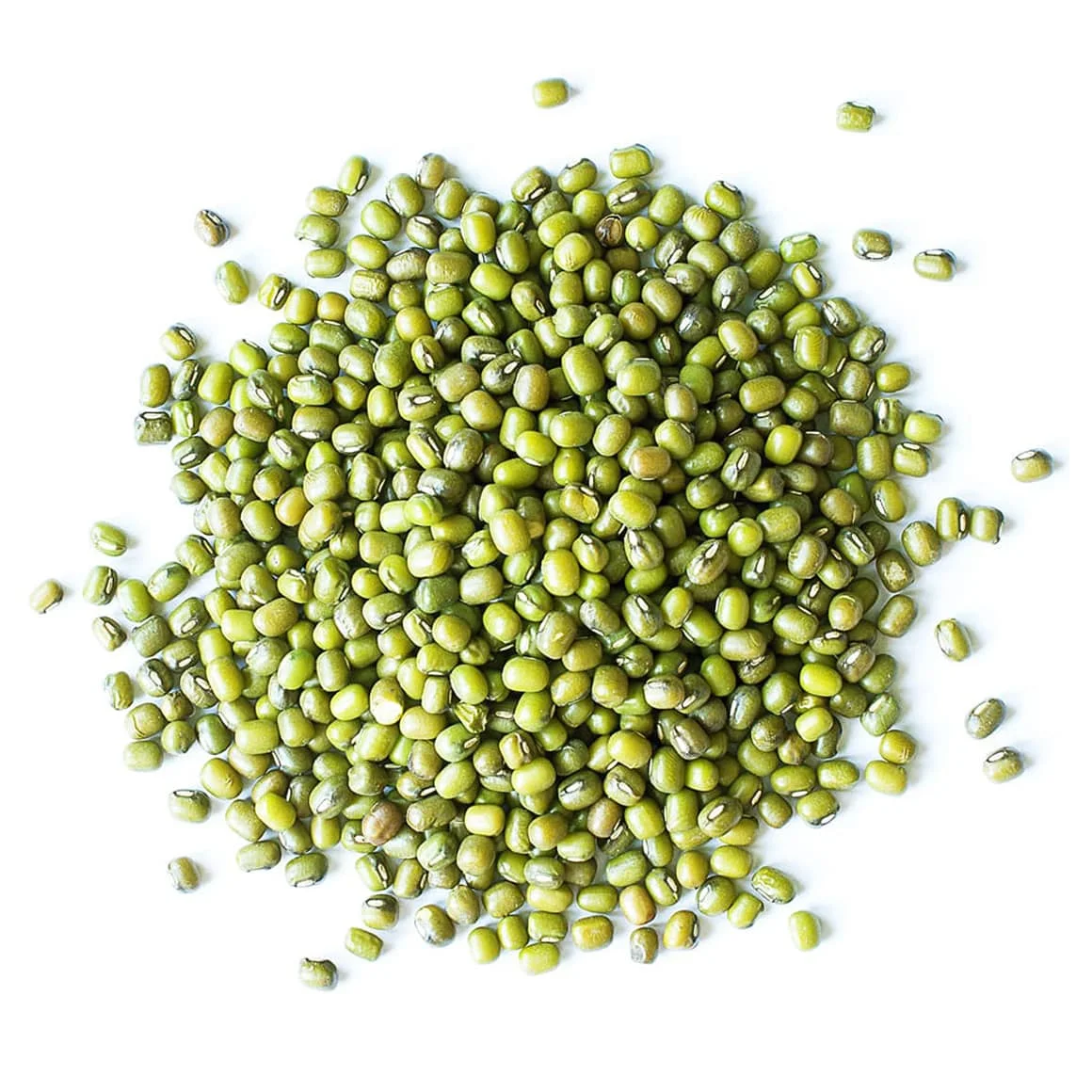 Wholesale Natural Organic High Quality Green Mung Beans Green Vigna Beans Green Gram Beans