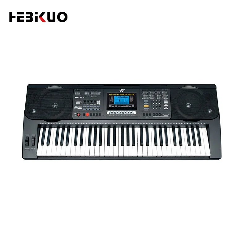 LCD Display Music Portable Rhythm 128 Entertainment Educational 61 Keys Electrical Keyboard Organ with Competitive Price