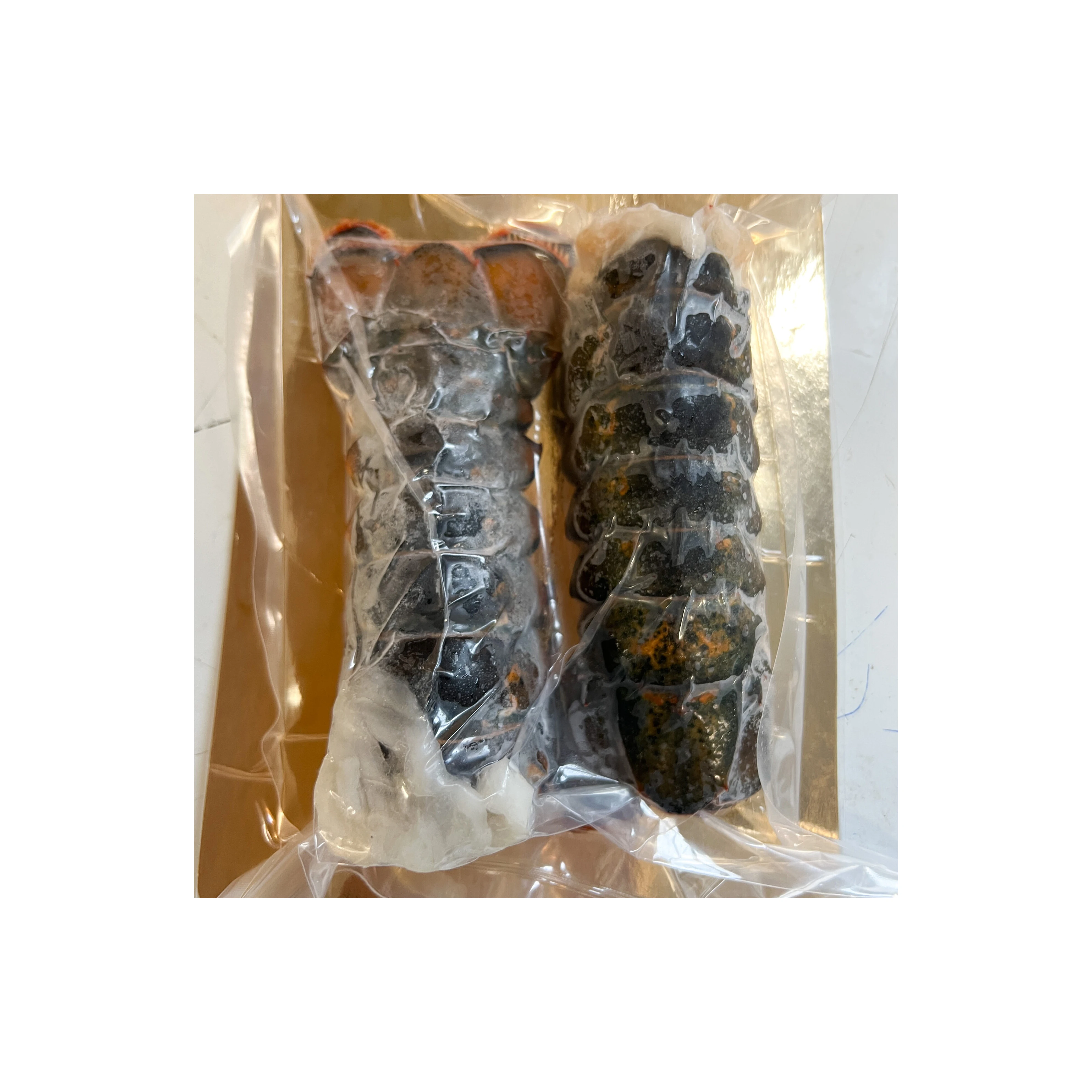 Seafood Fresh and Frozen Lobster Lobster Tails For Sale..