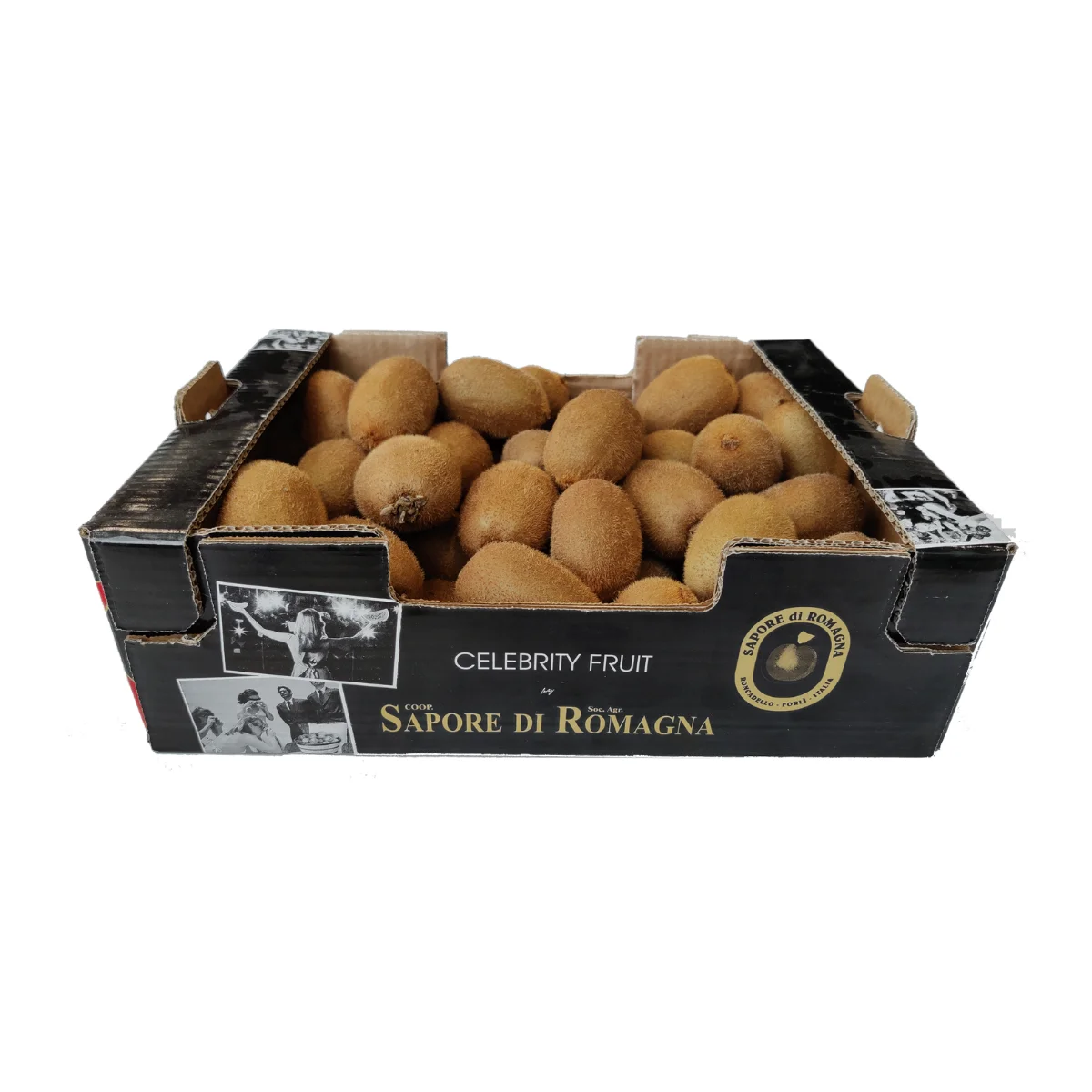 Italian Hayward Fresh Kiwi, 25 size, 115-125 grams, 5Kg Celebrity Fruit loose box, Green Actinidia chinensis