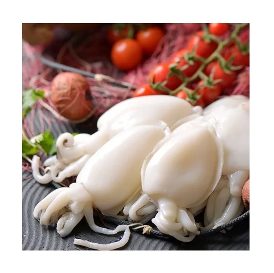 Hot Sale Price Of Frozen cuttlefish whole cleaned cuttlefish For Sale