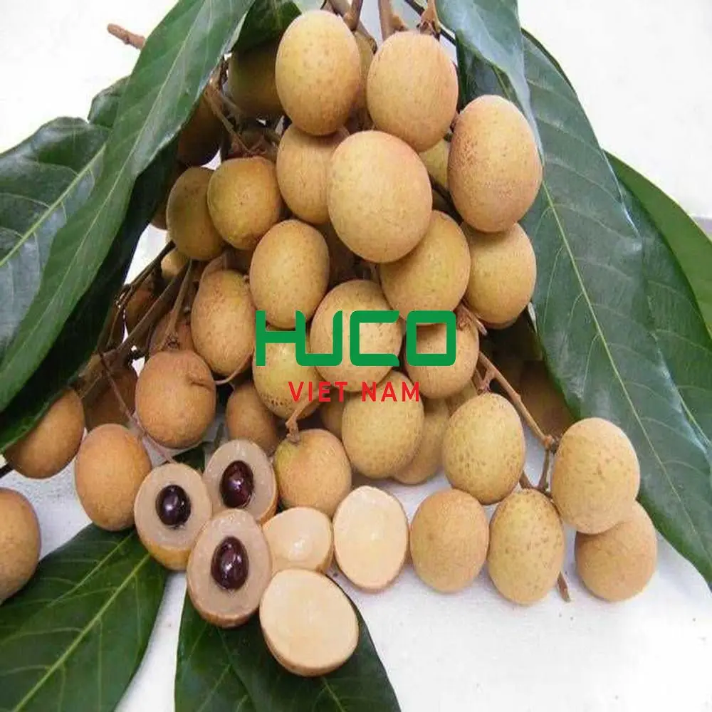 Fresh Longan Tropical Fruit Premium Quality from Vietnam Export Garde And Sweet Delicious