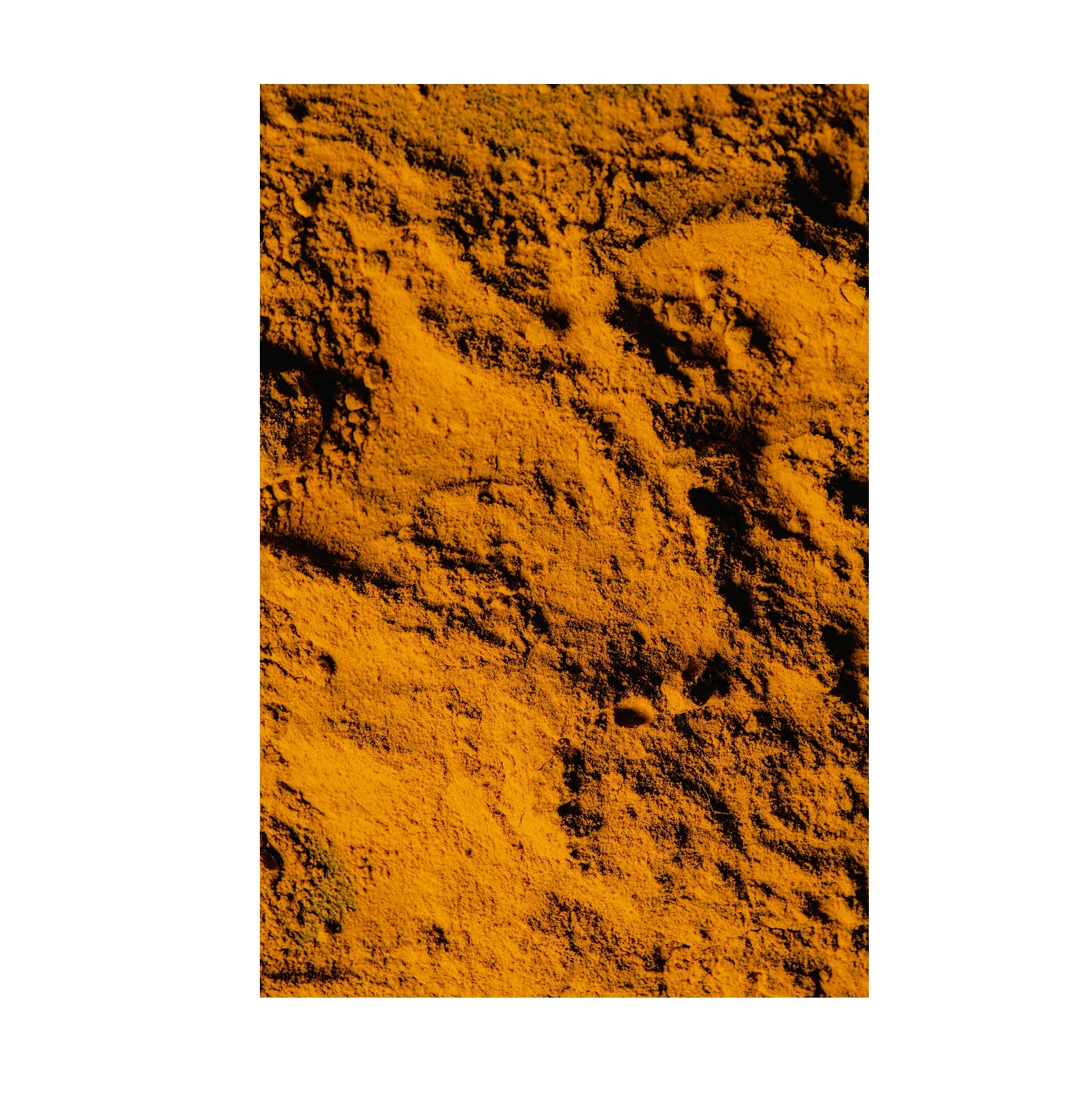 Hot Selling Turmeric Powder Root Extract Curcumin 95% 98% Haldi Powder Available at Bulk Quantity from India